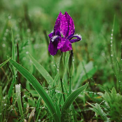 Photo #13667389