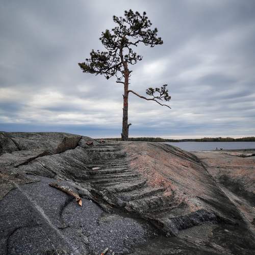 Photo #13667602