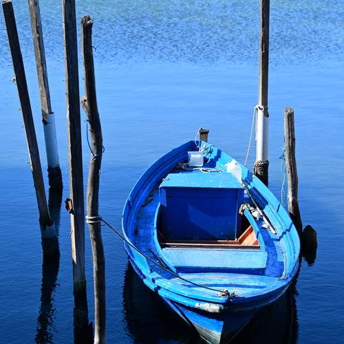 Photo #13667622