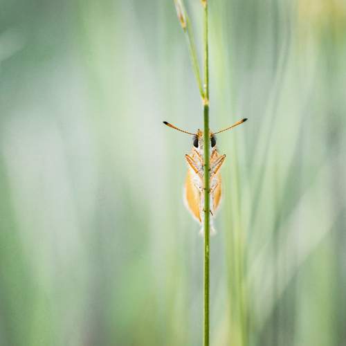 Photo #13667773