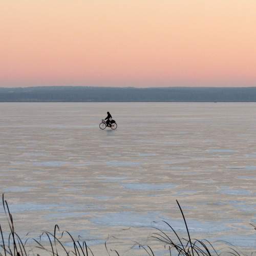 Photo #13667778