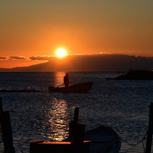 Photo #13667871