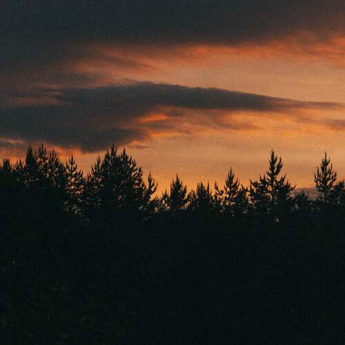 Photo #13667927
