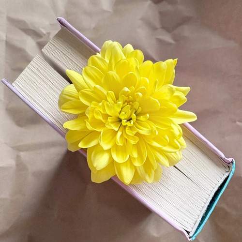 Photo #13667955