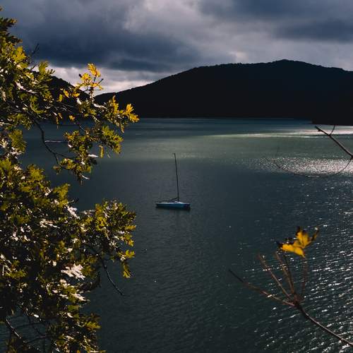 Photo #13668164
