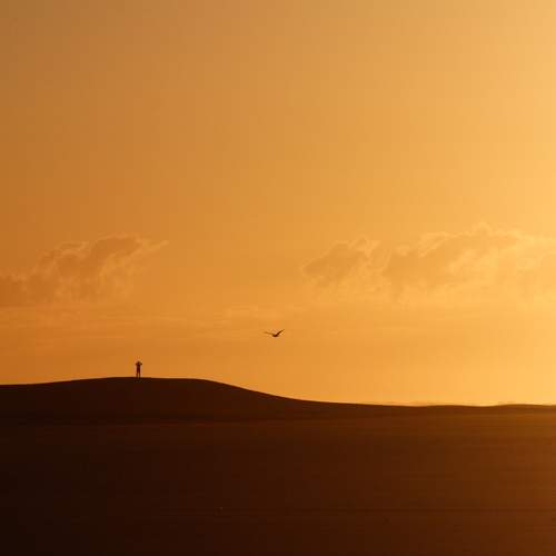 Photo #13668207