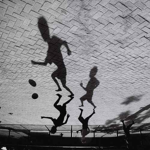 Photo #13668252