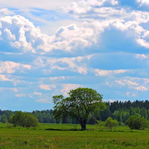 Photo #13668306