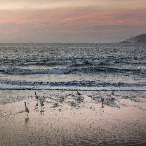 Photo #13668332