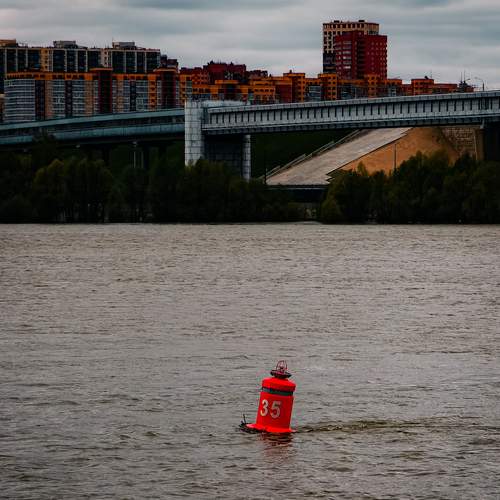 Photo #13668356