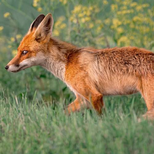 Photo #13668405