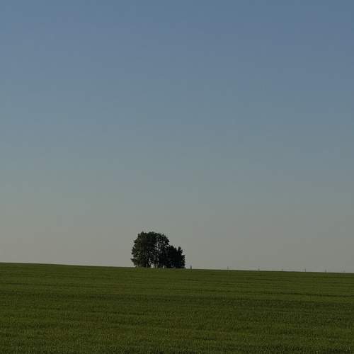 Photo #13668432