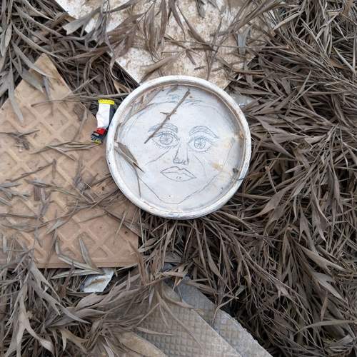 Photo #13668442