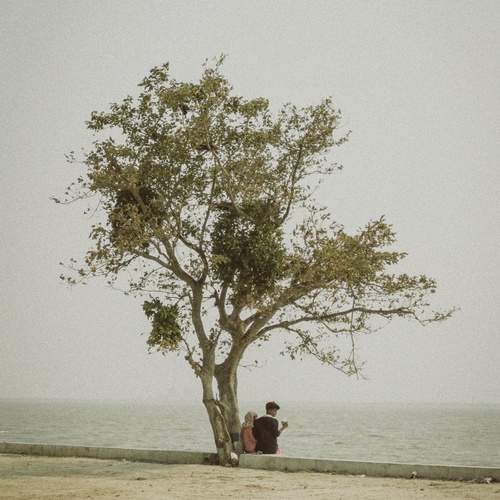 Photo #13668505