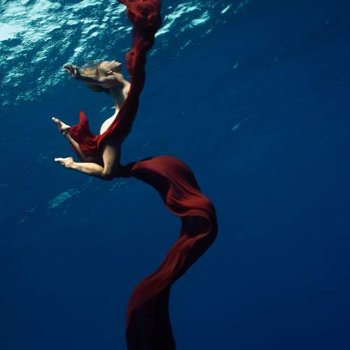 Photo #13668520