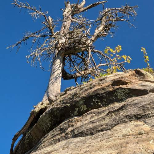 Photo #13668614