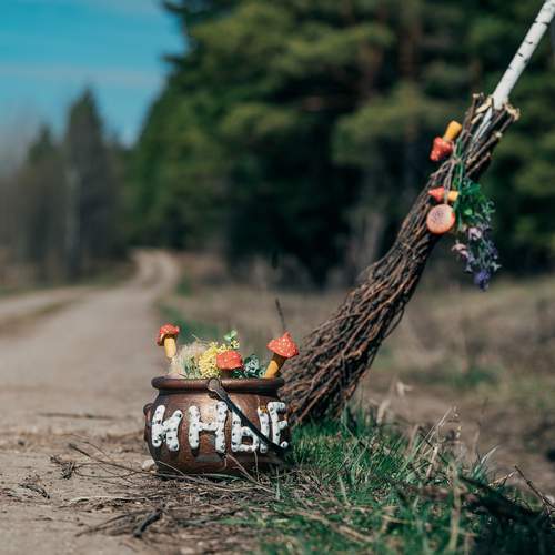 Photo #13668627