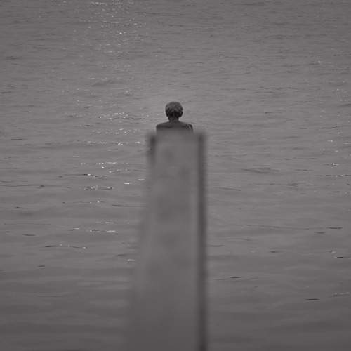 Photo #13668727