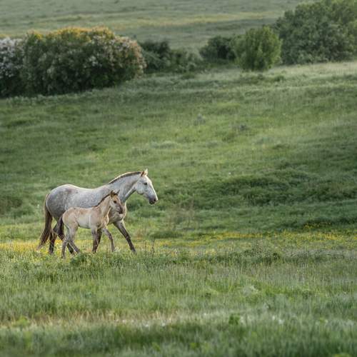 Photo #13668850