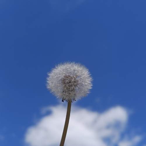 Photo #13668892