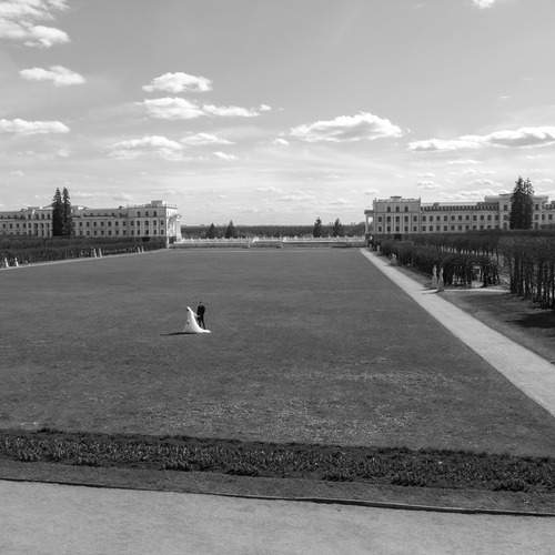 Photo #13668961