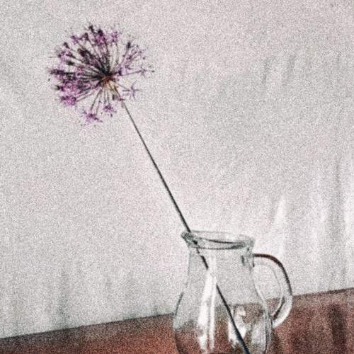 Photo #13669004