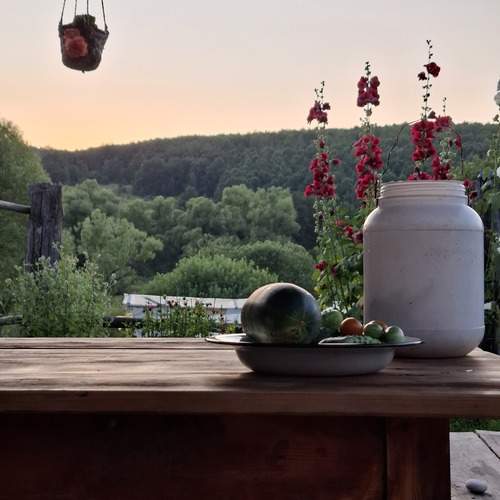 Photo #13669091