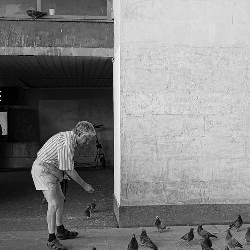 Photo #13669130