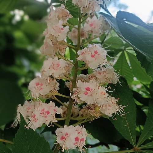 Photo #13669188