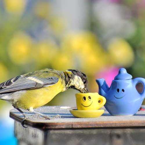 Photo #13669230