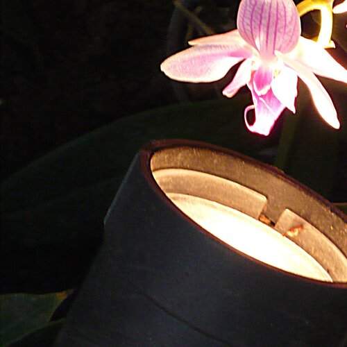Mehr Licht