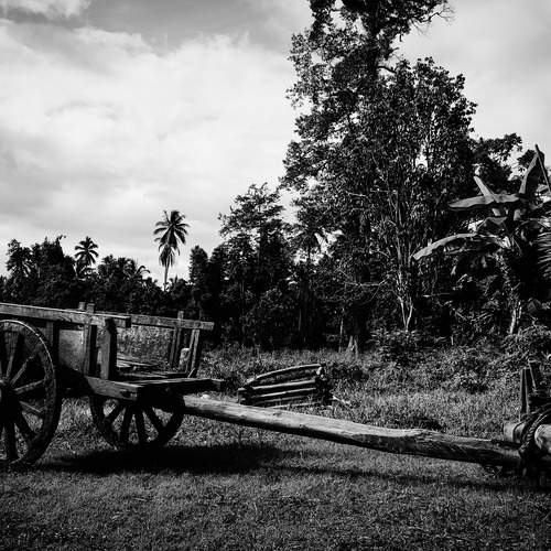 Silent Wagon