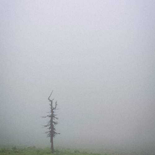 Photo #13669408