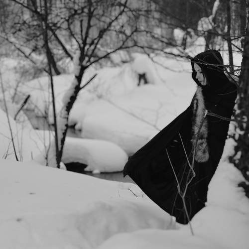 Фотография #13669479