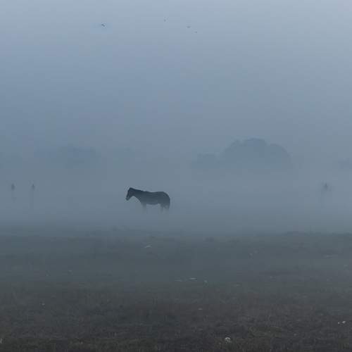 Photo #13669504