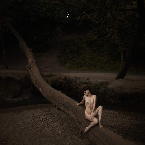 Photo #13669516