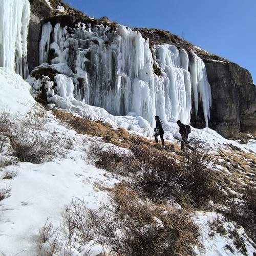 Photo #13669517