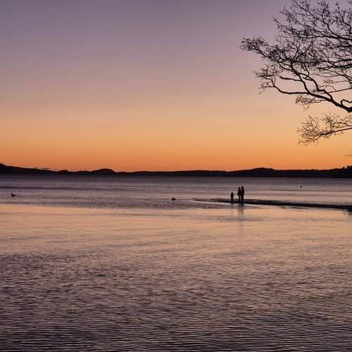 Photo #13669610