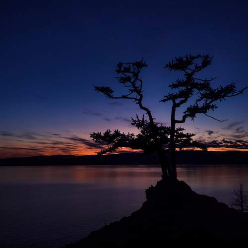 Photo #13669700