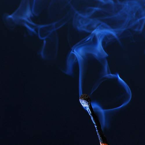 Photo #13669735