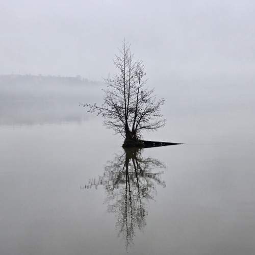 Photo #13669741