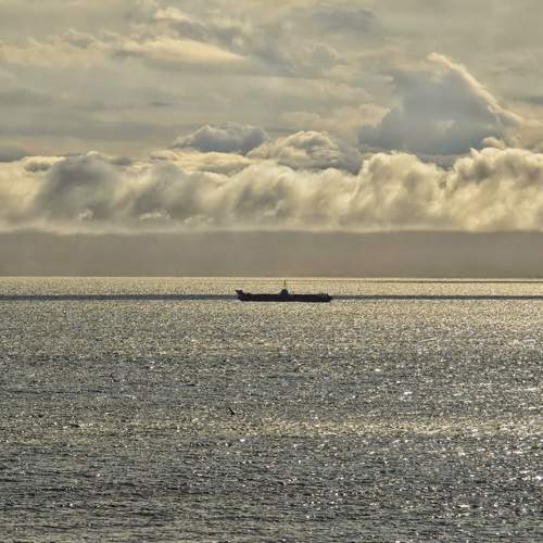 Photo #13669748
