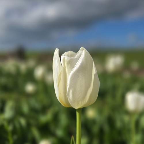 Photo #13669755