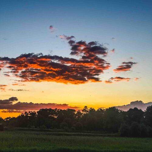 Photo #13669919