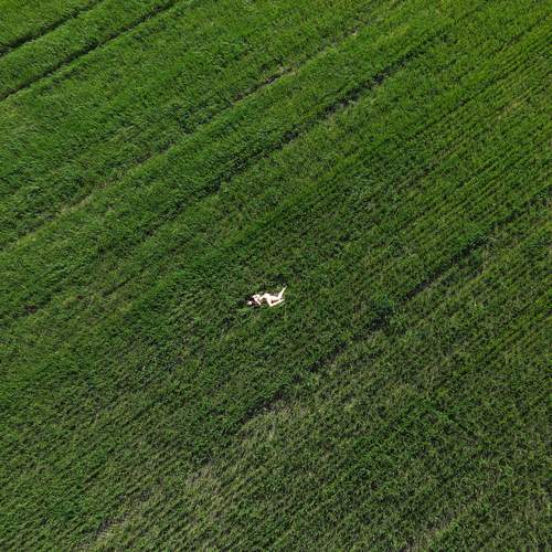 Photo #13669923