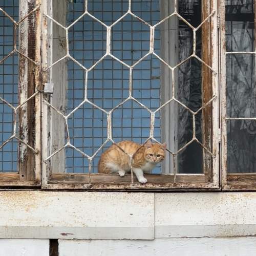 Photo #13669974
