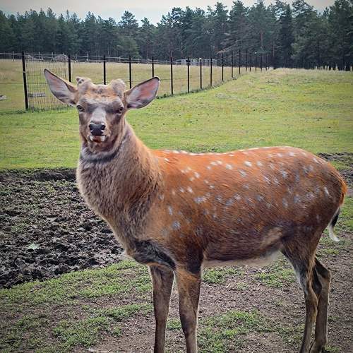 Photo #13669999