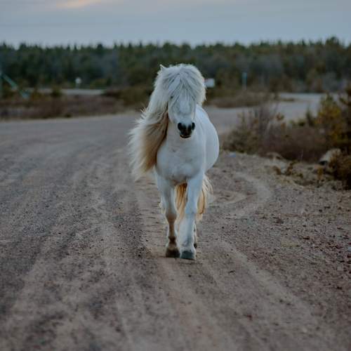 Photo #13670067