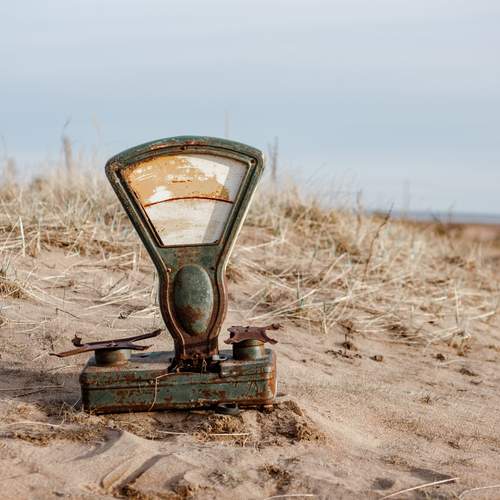 Photo #13670072