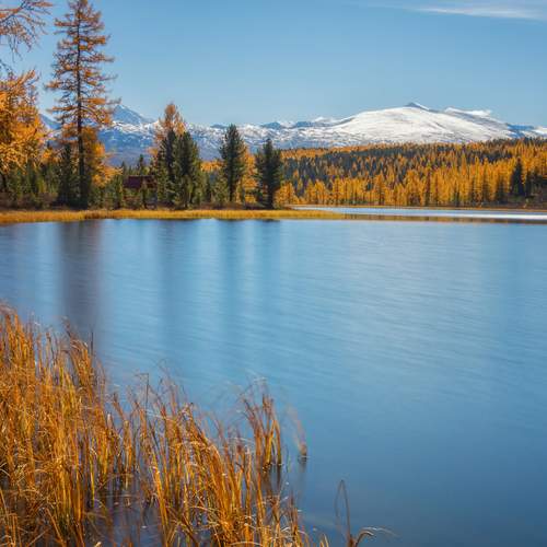 Photo #13670165